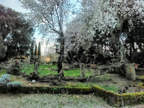 Agriturismo La Romanella Viterbo Esterno foto