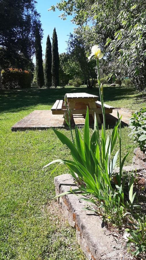 Agriturismo La Romanella Viterbo Esterno foto
