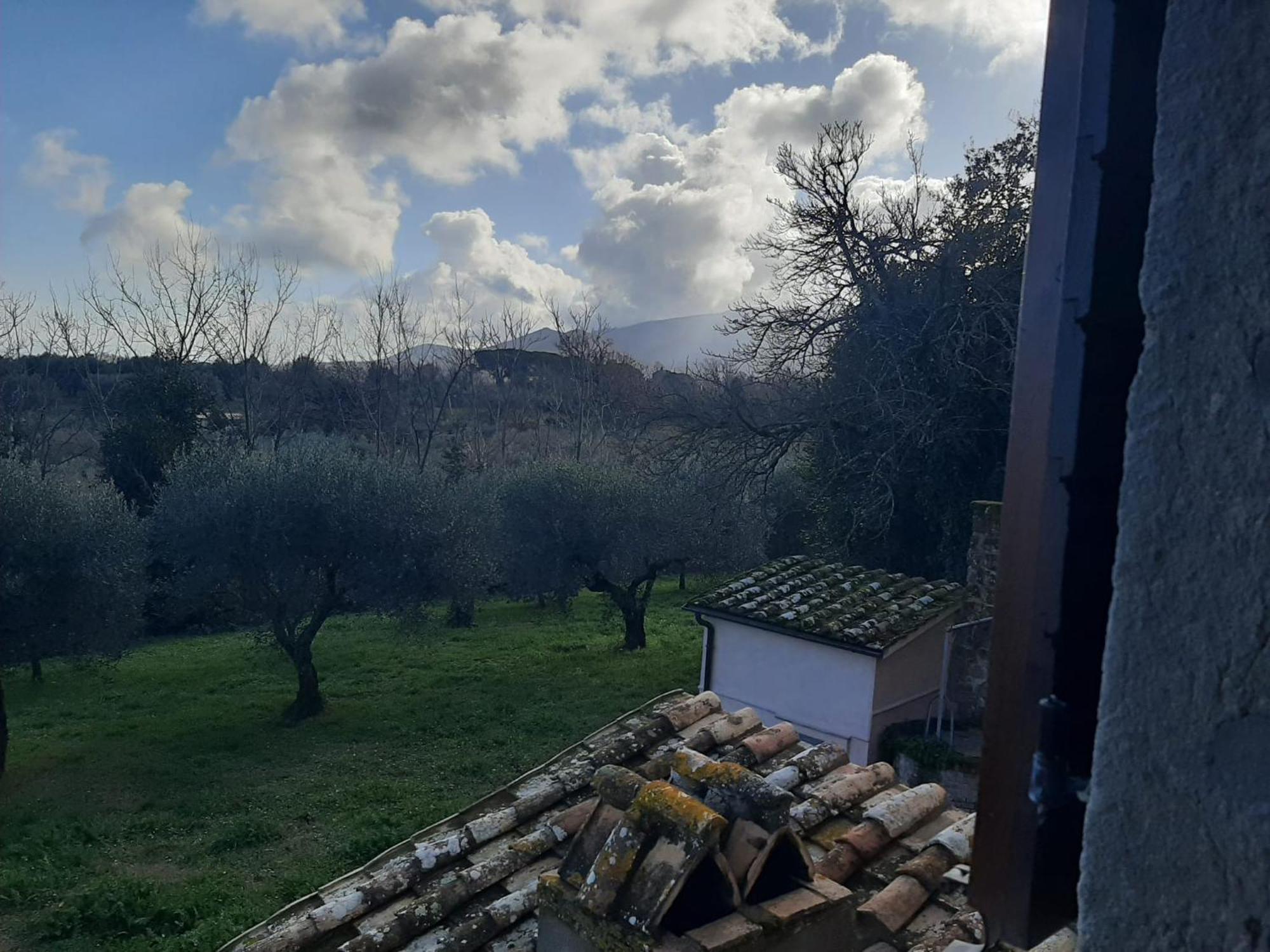 Agriturismo La Romanella Viterbo Esterno foto
